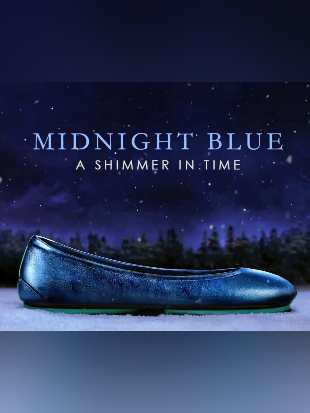 Tieks Midnight Blue Shimmer Ballet Flat